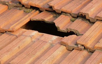 roof repair Robertstown